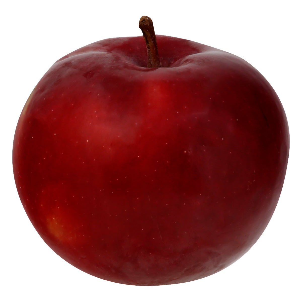 McIntosh Apple - Large