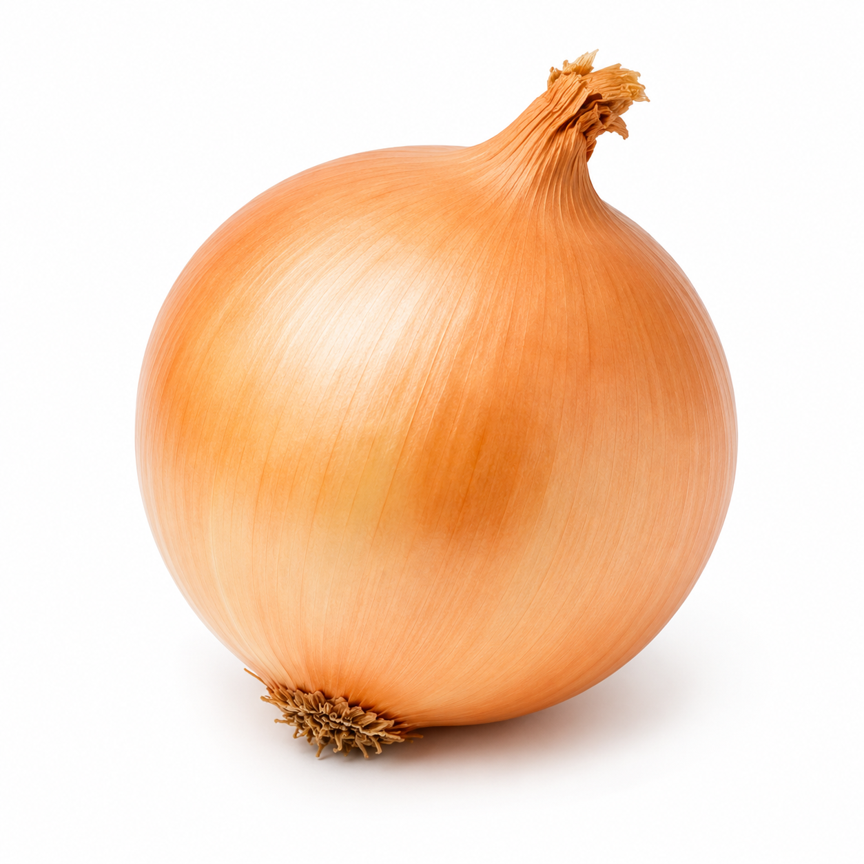 Walla Walla Onion