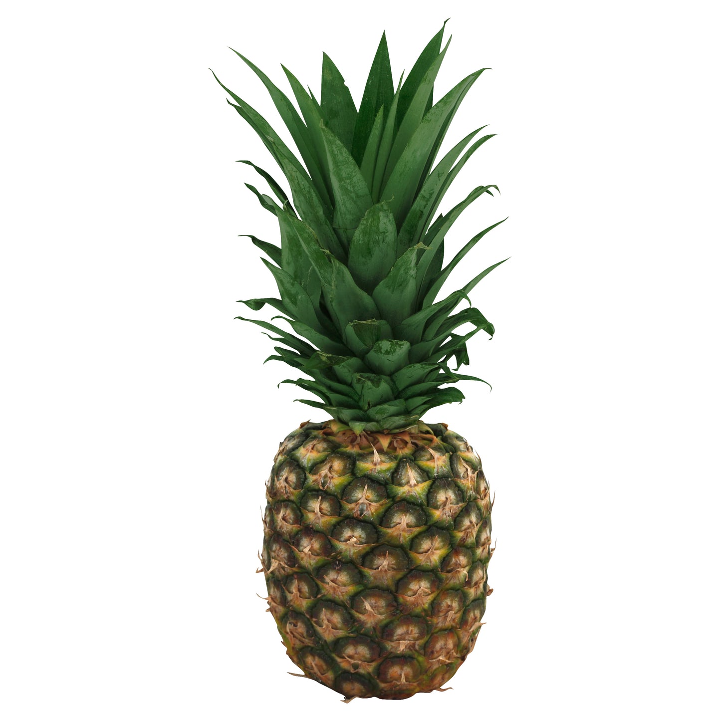 Gold Pineapple
