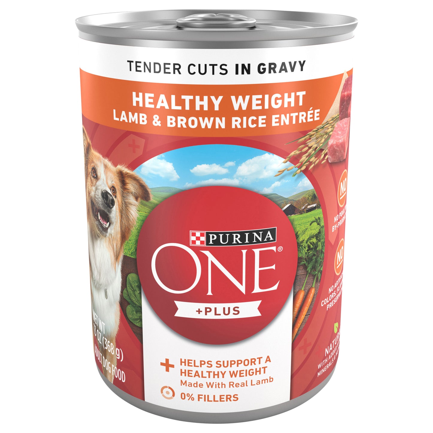 Purina ONE Plus Tender Cuts in Gravy Healthy Weight Lamb and Brown Rice Entree in Wet Dog Food Gravy - 13 oz. Can