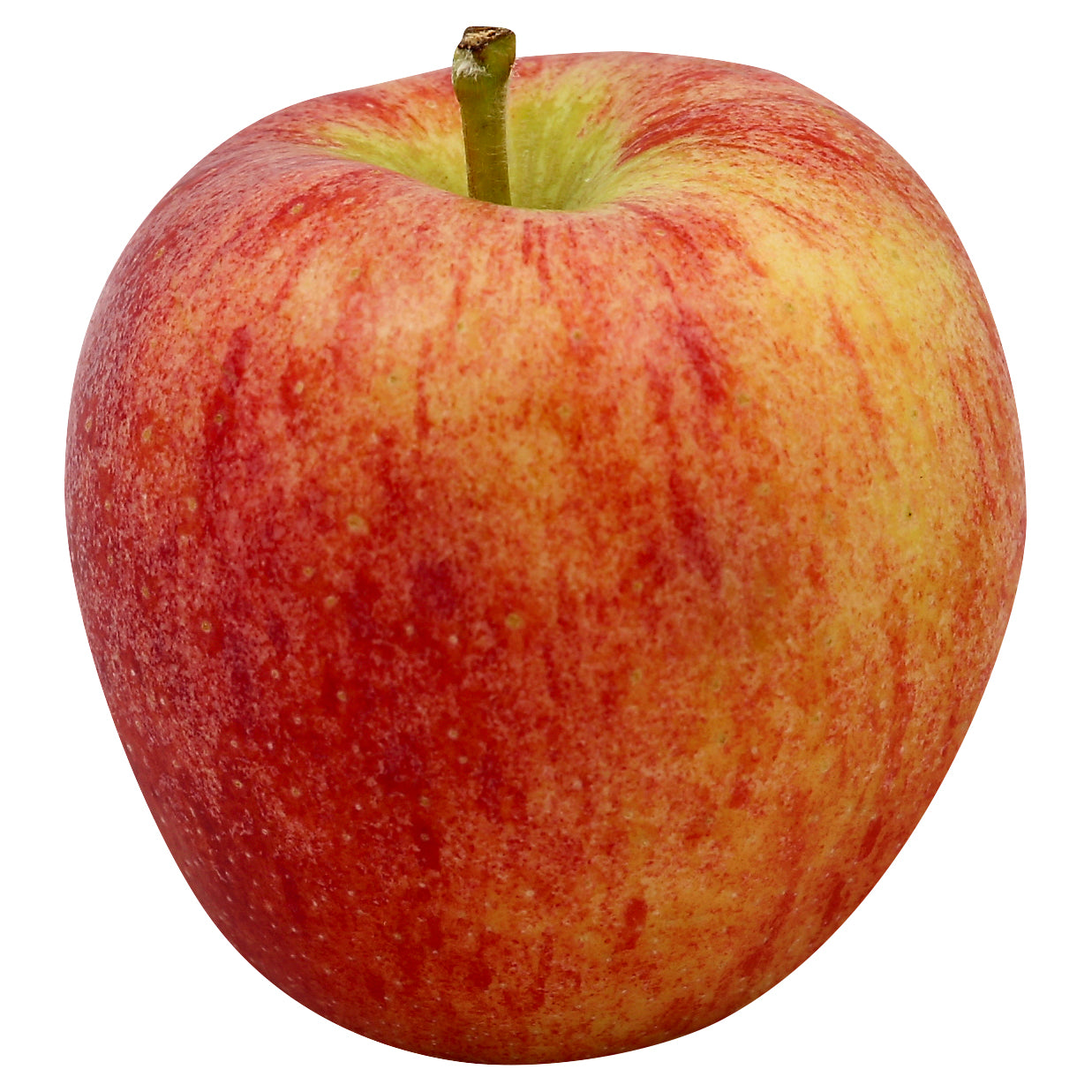Royal Gala Apple - Small