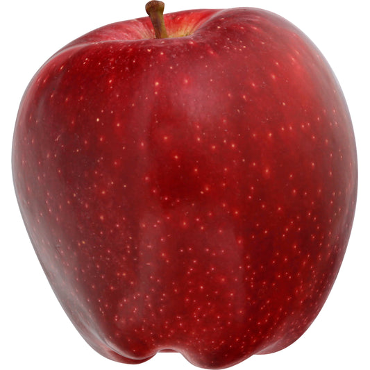 Red Delicious Apple - Large