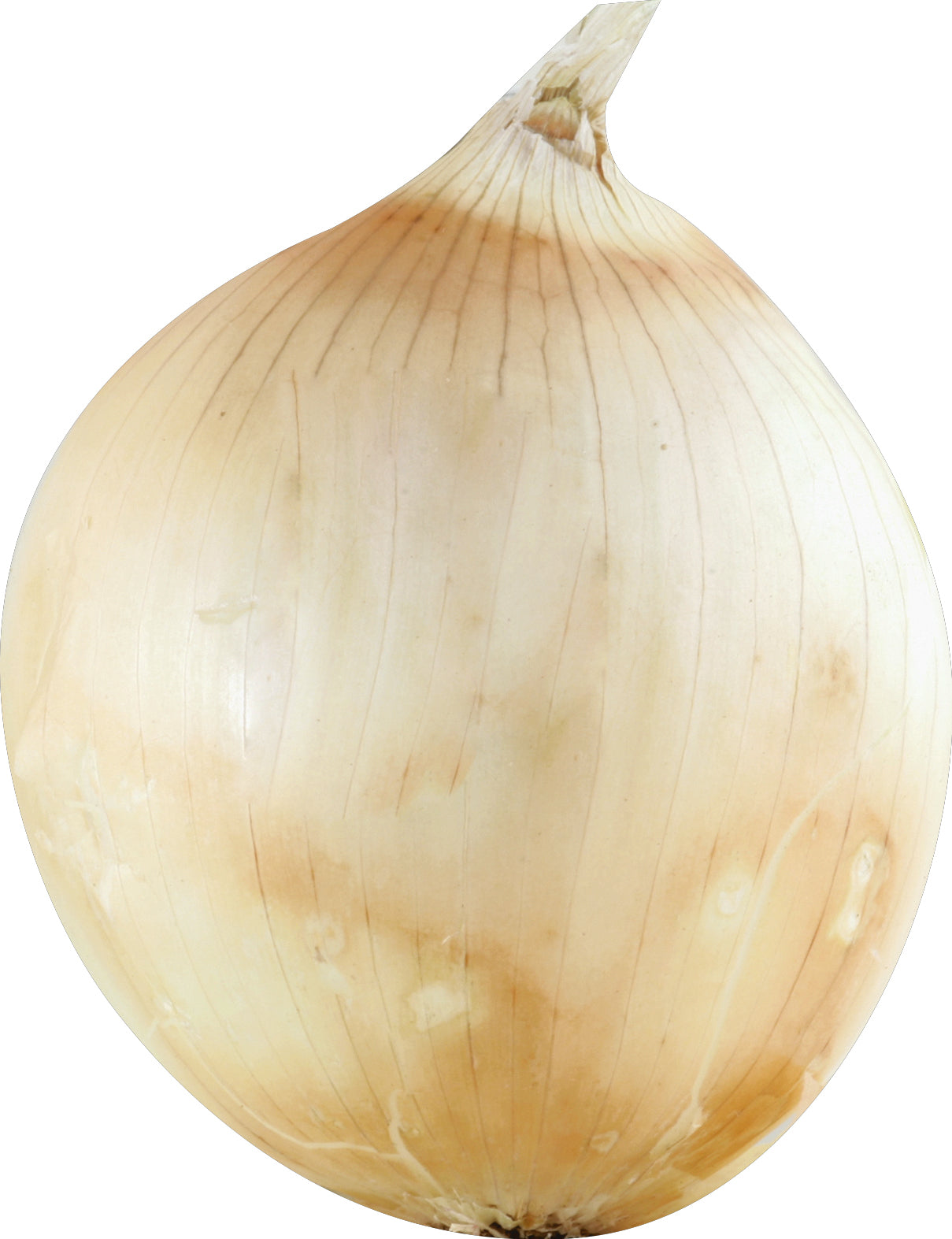 California Sweet Onion