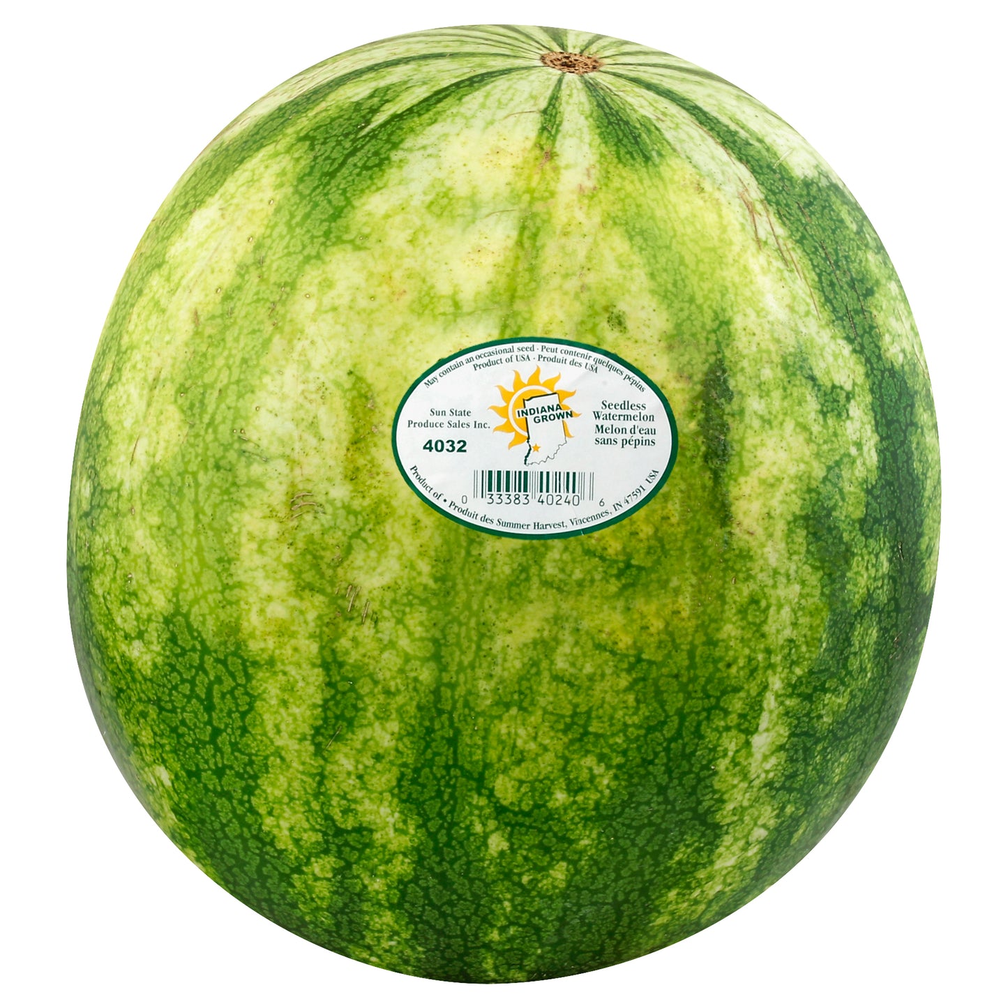 Red Seeded Watermelon