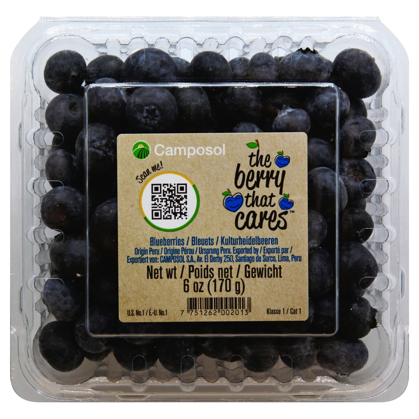 Camposol Blueberries 6 oz