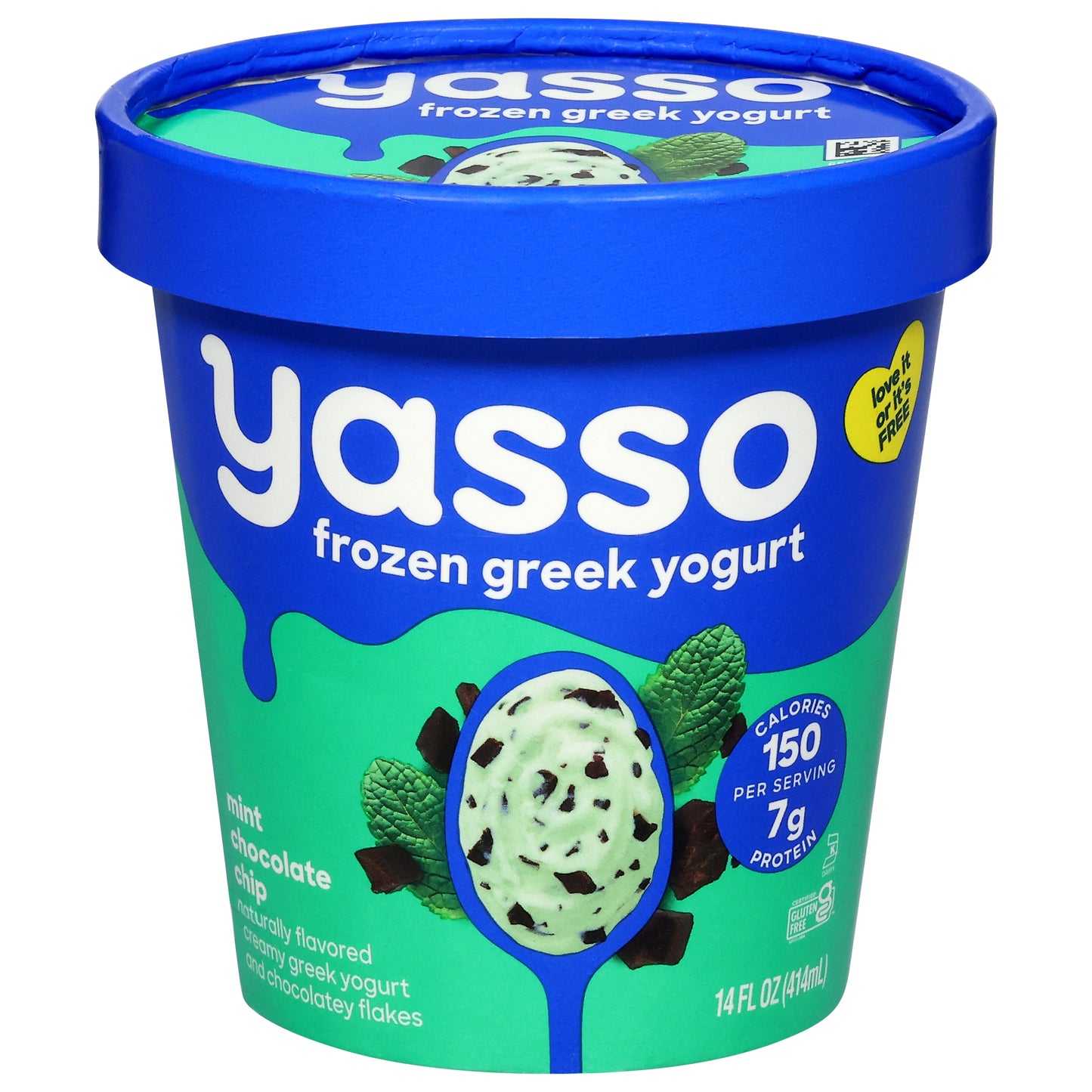 Yasso Mint Chocolate Chip Frozen Greek Yogurt 14 fl oz