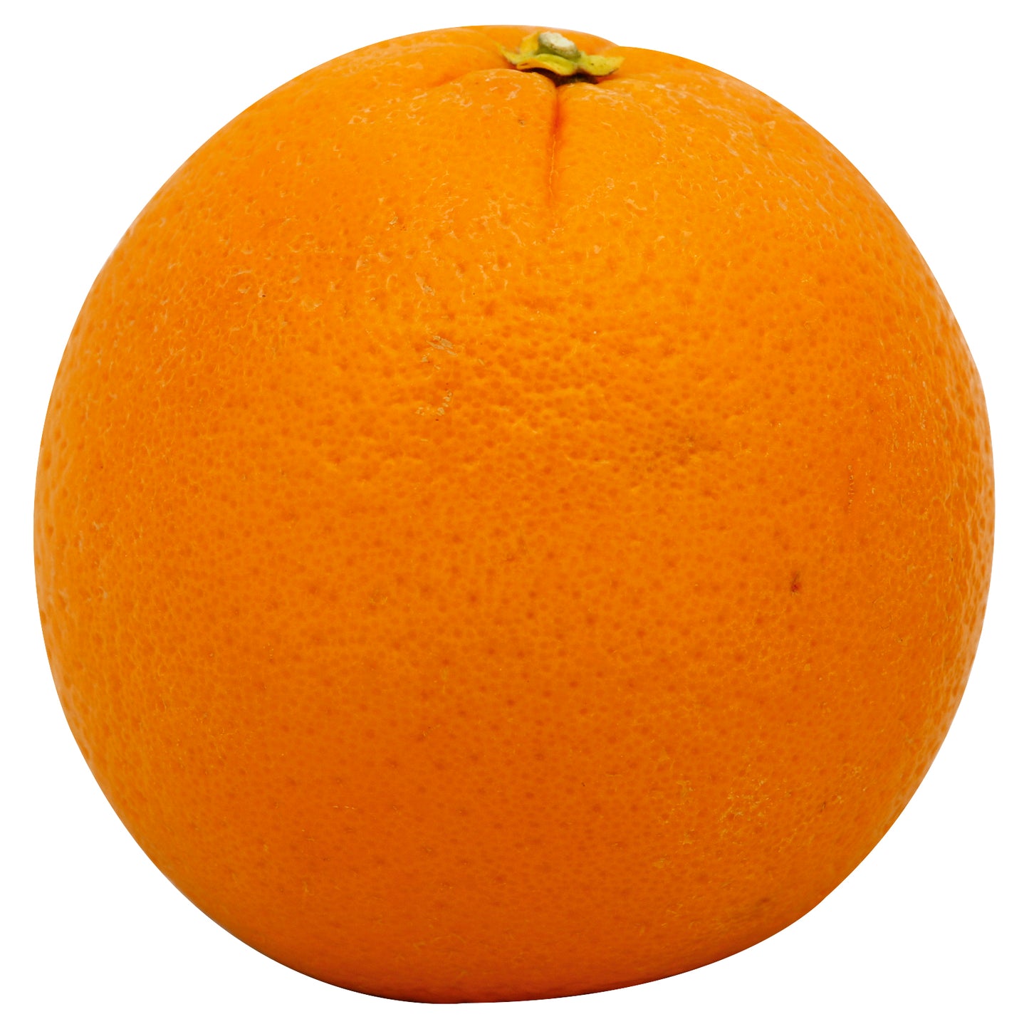 Cara Cara Orange - 3lb