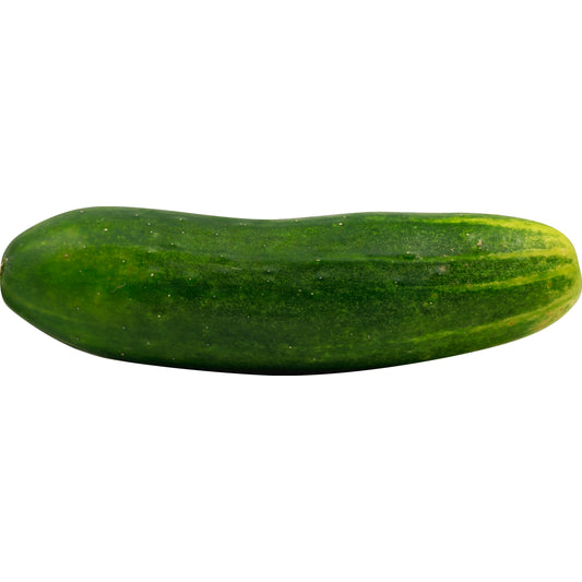 Seedless Cucumber