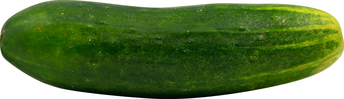 Seedless Cucumber