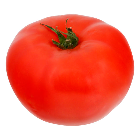 Hot House Red Tomato - Large