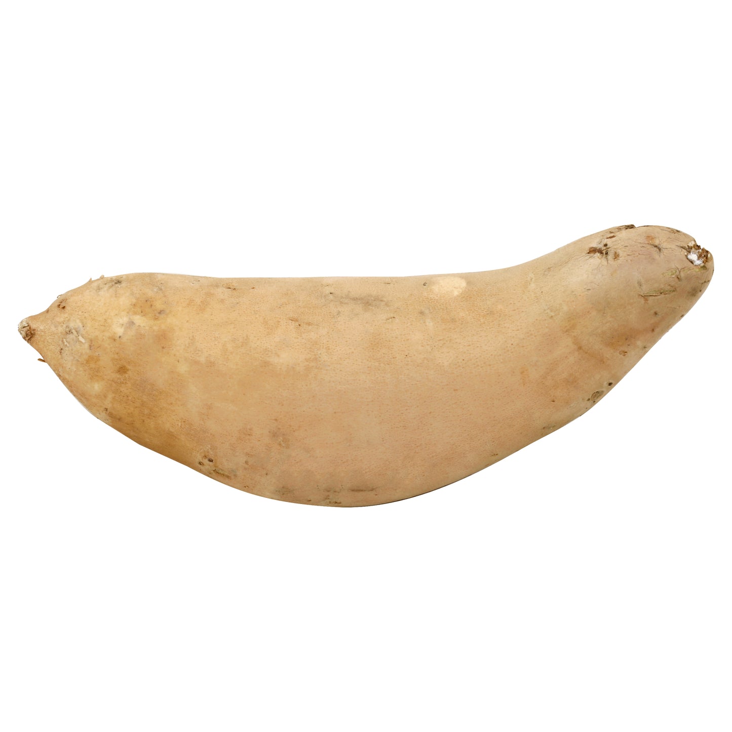 Red Yam - Large