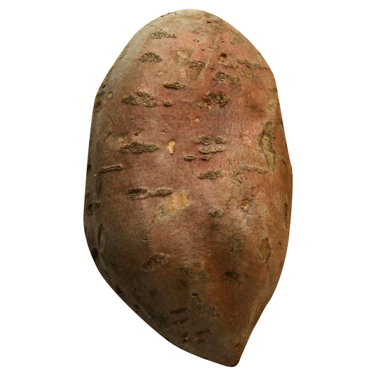 Sweet Potato - White